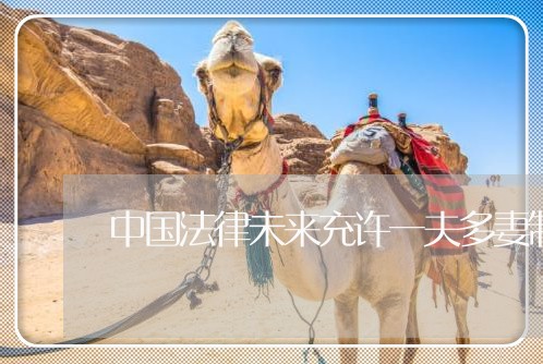 中国法律未来充许一夫多妻制么 中国法律未来充许一夫多妻制么
