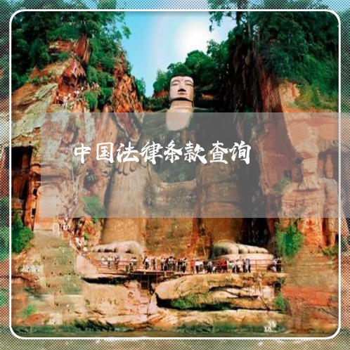 中国法律条款查询