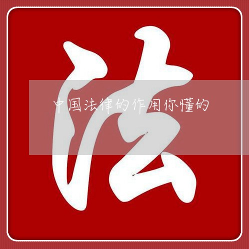 中国法律的作用你懂的