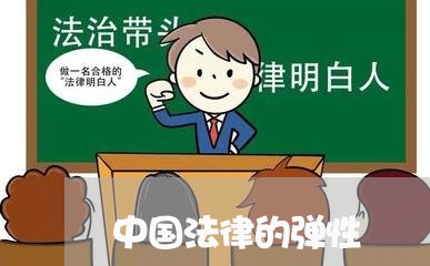 中国法律的弹性