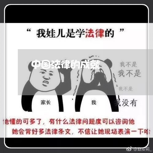 中国法律的成就