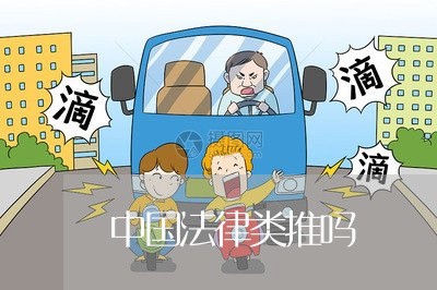 中国法律类推吗