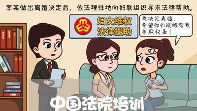 中国法院培训 中国法院培训