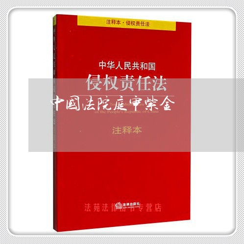 中国法院庭审紫金