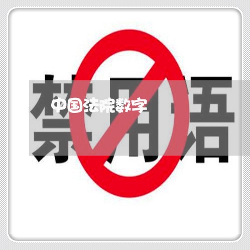 中国法院数字