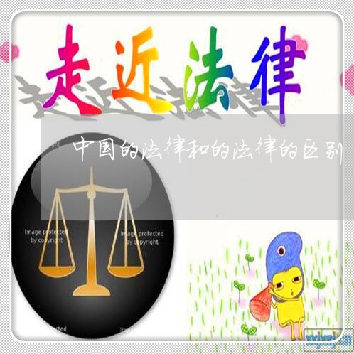 中国的法律和的法律的区别