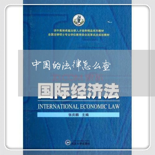 中国的法律怎么查 中国的法律怎么查