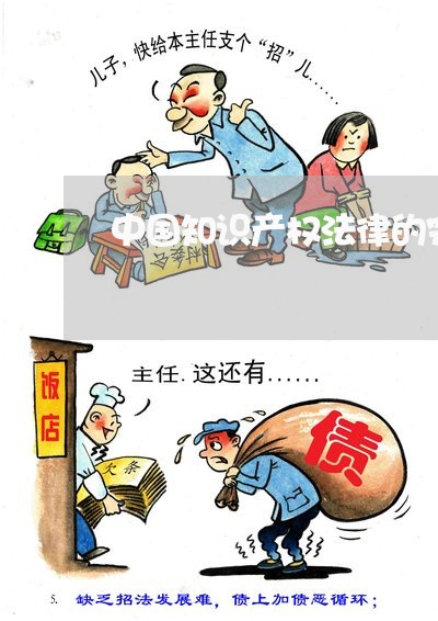 中国知识产权法律的完善