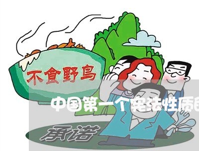 中国第一个宪法性质的法律 中国第一个宪法性质的法律