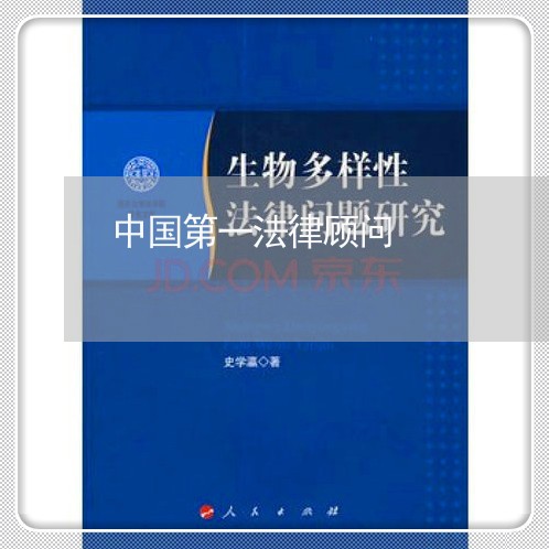 中国第一法律顾问