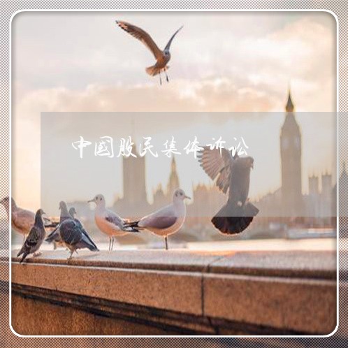 中国股民集体诉讼
