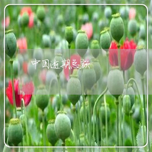 中国逾期总额/2023030450594 中国逾期总额/2023030450594