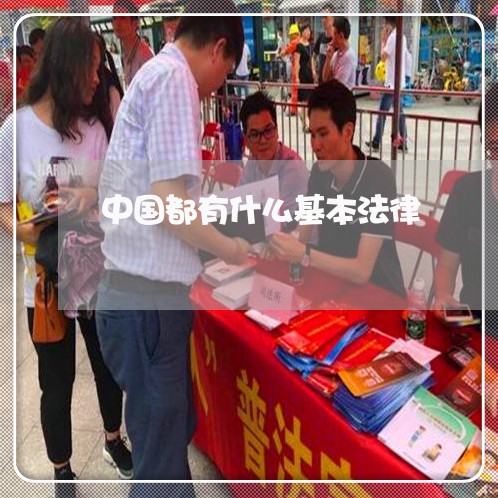 中国都有什么基本法律 中国都有什么基本法律