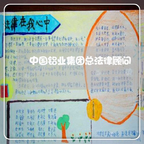 中国铝业集团总法律顾问/2023061862614