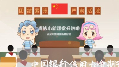 中国银行信用卡逾期3天/2023040195048