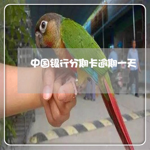 中国银行分期卡逾期一天 中国银行分期卡逾期一天