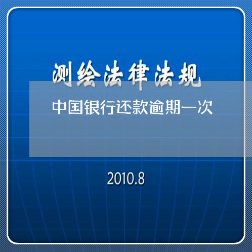 中国银行还款逾期一次/2023102750382