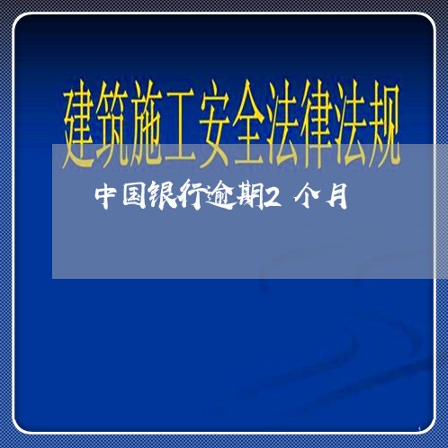 中国银行逾期2个月