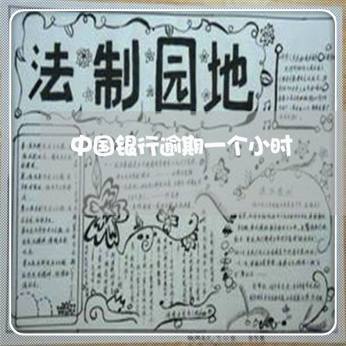 中国银行逾期一个小时