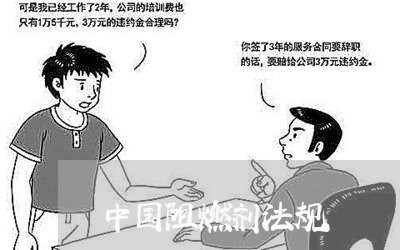 中国阻燃剂法规