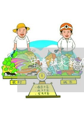中堂镇欠款诉讼律师