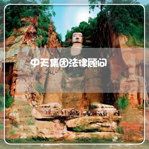 中天集团法律顾问 中天集团法律顾问