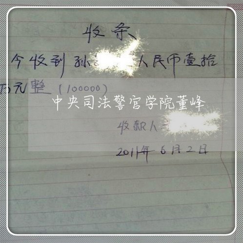 中央司法警官学院董峰 中央司法警官学院董峰