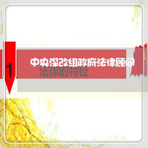 中央深改组政府法律顾问 中央深改组政府法律顾问