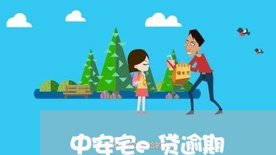 中安宅e贷逾期/2023020727481