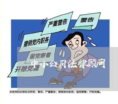 中小公司法律顾问/2023061631571
