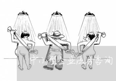 中小型企业法务咨询 中小型企业法务咨询