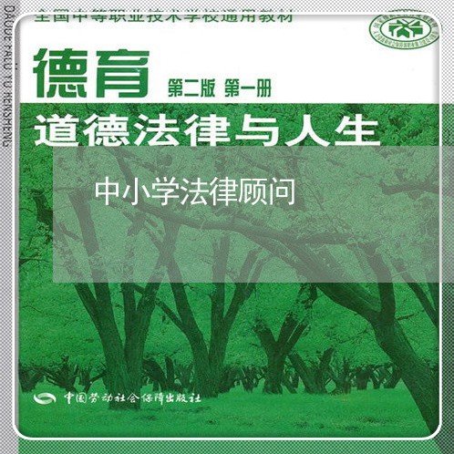 中小学法律顾问/2023061792603