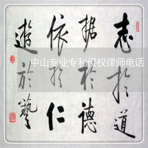 中山专业专利侵权律师电话/2023060925017