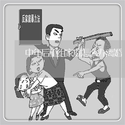 中年后重组家庭怎么办离婚/2023060940512