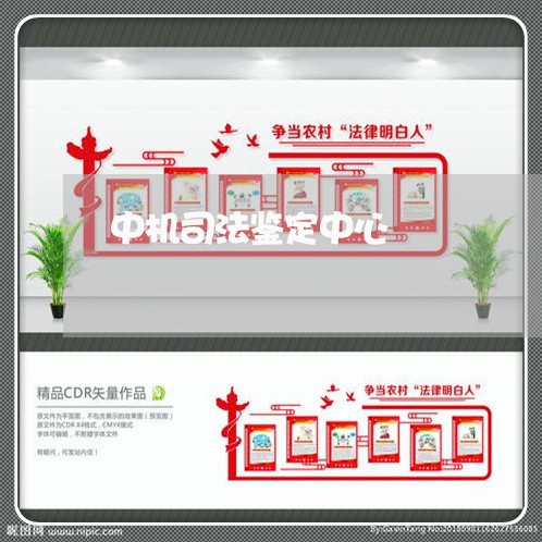 中机司法鉴定中心