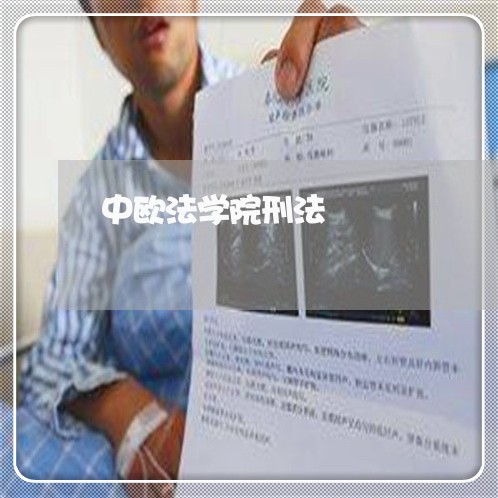 中欧法学院刑法 中欧法学院刑法
