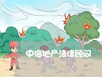 中海地产法律顾问/2023061727157 中海地产法律顾问/2023061727157