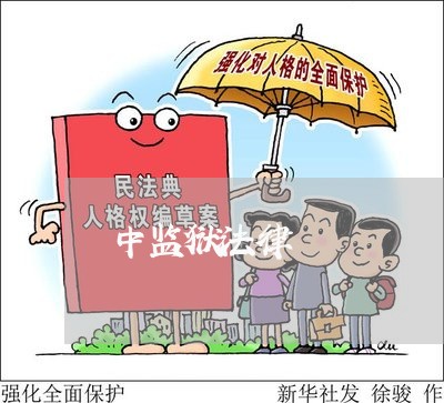中监狱法律 中监狱法律