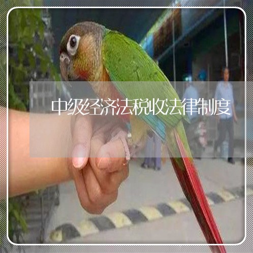 中级经济法税收法律制度 中级经济法税收法律制度