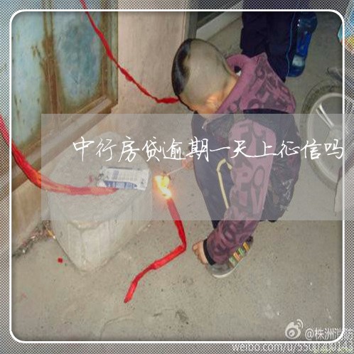 中行房贷逾期一天上征信吗/2023061051280 中行房贷逾期一天上征信吗/2023061051280