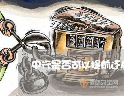 中行是否可以提前还房贷/2023041840583