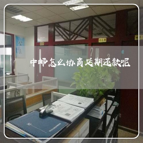 中邮怎么协商延期还款呢/2023071129059