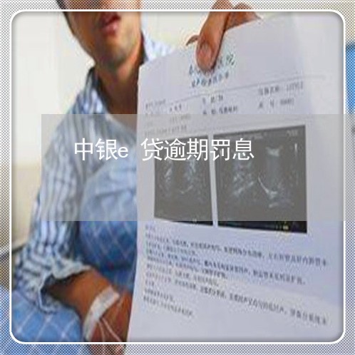 中银e贷逾期罚息