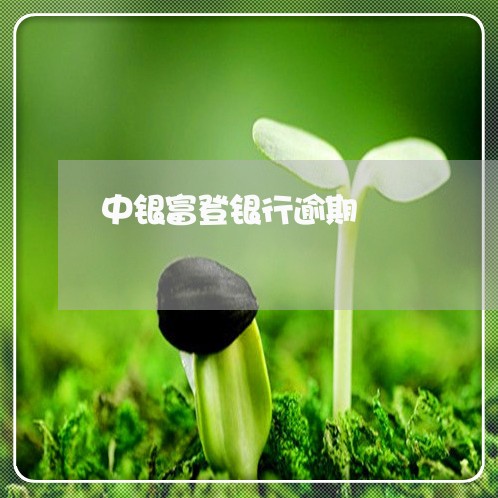 中银富登银行逾期 中银富登银行逾期