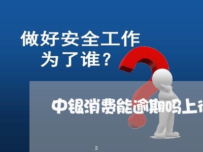 中银消费能逾期吗上征信吗/2023032550282