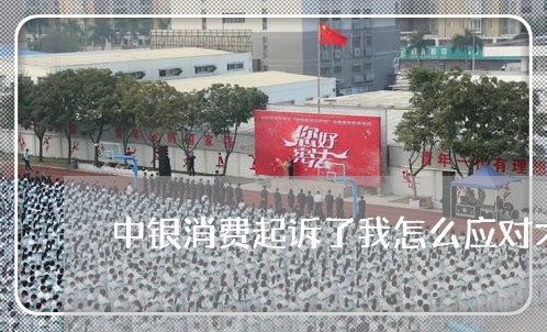 中银消费起诉了我怎么应对才好 中银消费起诉了我怎么应对才好