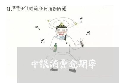 中银消费逾期率 中银消费逾期率