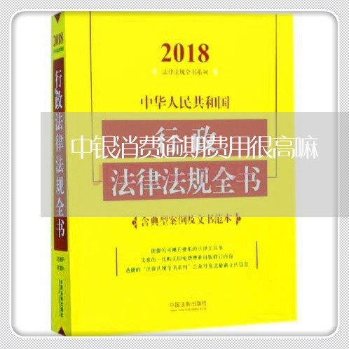 中银消费逾期费用很高嘛/2023062161682