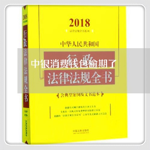 中银消费钱包逾期了/2023020615059