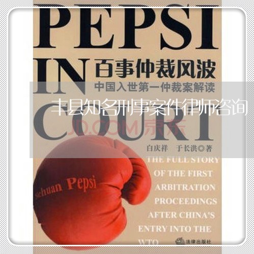 丰县知名刑事案件律师咨询 丰县知名刑事案件律师咨询